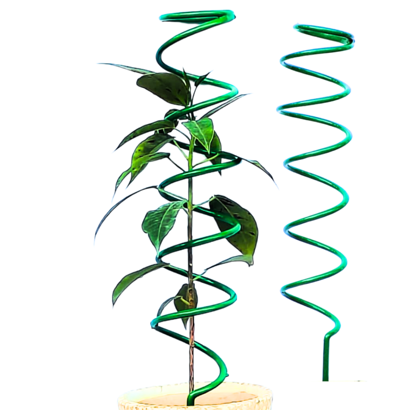 Spiral Trellis