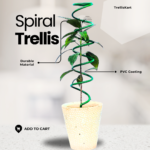 Plant Trellis Spiral